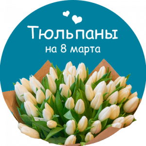 Купить тюльпаны в Селидово